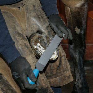 14" Mercury Horse Hoof Rasp | Farrier Tools - Farriers Equipment