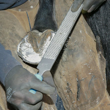 Load image into Gallery viewer, 14&quot; Save Edge Horse Hoof Rasp | Farrier Tools - Farriers Equipment