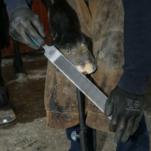 14" Save Edge Horse Hoof Rasp | Farrier Tools - Farriers Equipment