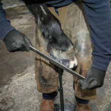 Load image into Gallery viewer, 14&quot; Save Edge Horse Hoof Rasp | Farrier Tools - Farriers Equipment