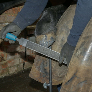 14" Save Edge Horse Hoof Rasp | Farrier Tools - Farriers Equipment