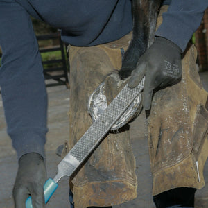 14" Save Edge Horse Hoof Rasp | Farrier Tools - Farriers Equipment