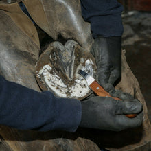 Load image into Gallery viewer, Farriers Equipment Tools | Hoof Loop Knife Blade | Hoof Trimming Equipment - Farriers Equipment