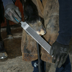 Box of 6 | 14" Save Edge Horse Hoof Rasps | Farrier Tools - Farriers Equipment