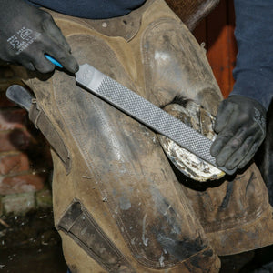 14" Save Edge Horse Hoof Rasp | Farrier Tools - Farriers Equipment