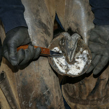 Load image into Gallery viewer, Farriers Equipment Tools | Hoof Loop Knife Blade | Hoof Trimming Equipment - Farriers Equipment