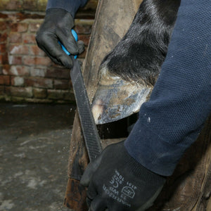 14" Save Edge Horse Hoof Rasp | Farrier Tools - Farriers Equipment