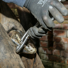 Load image into Gallery viewer, Farriers Equipment Tools | 14&quot; ROUND Hoof Testers | Chrome Vanadium - Farriers Equipment