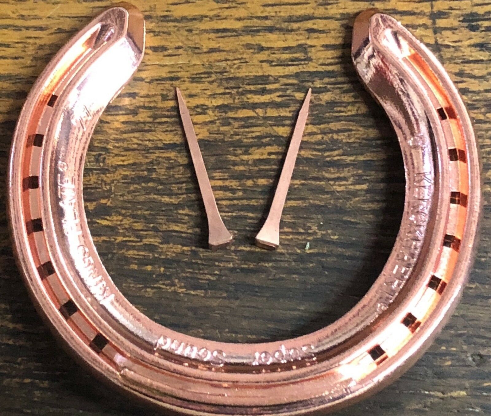 Shoeing Nails, Horseshoe Nails 250Pcs Straight Copper Plating For Shod E5  51mm/2.01in | Walmart Canada
