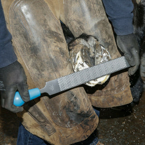 14" Save Edge Horse Hoof Rasp | Farrier Tools - Farriers Equipment