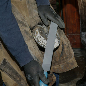 14" Mercury Horse Hoof Rasp | Farrier Tools - Farriers Equipment