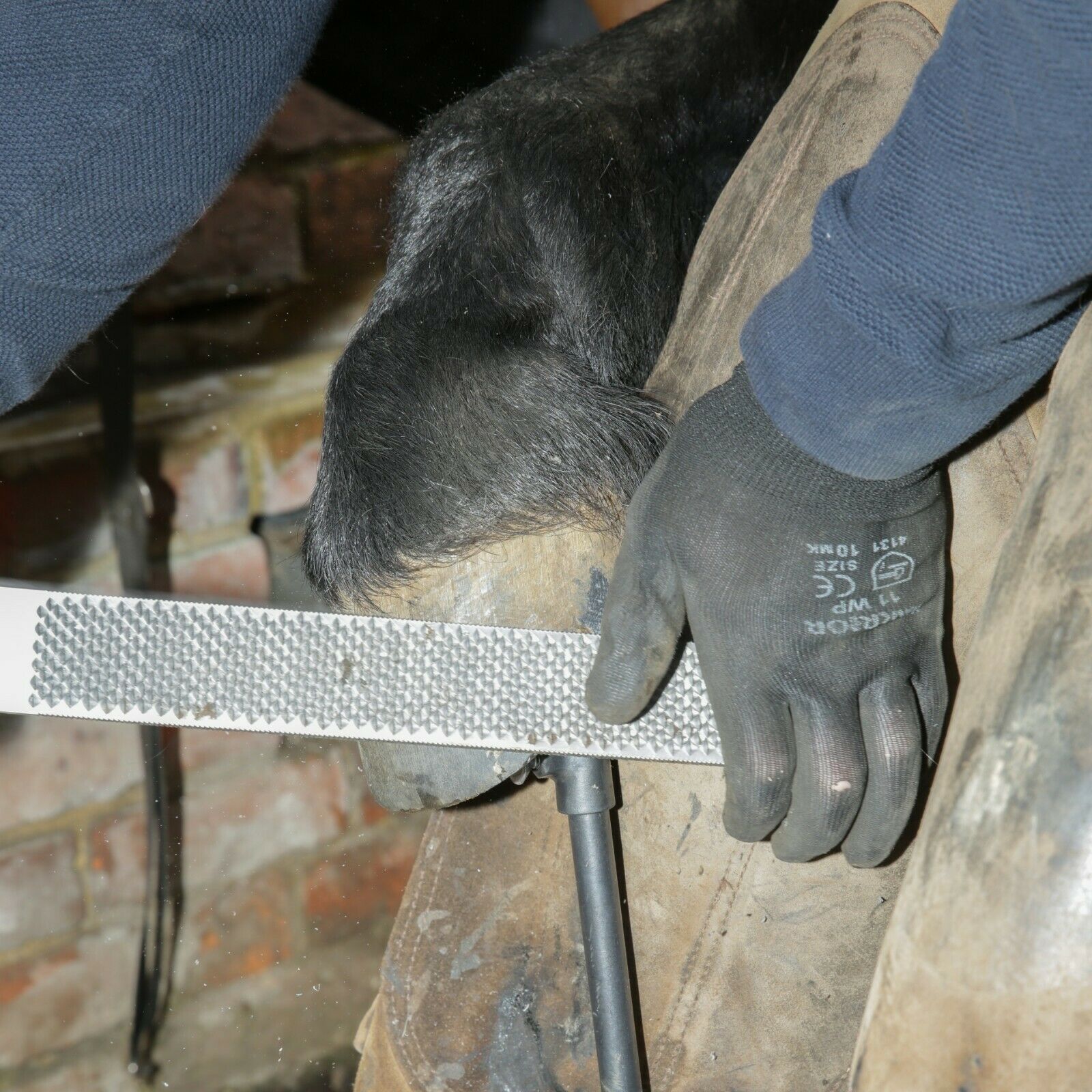 Hoof Farrier Tool Horse Care Loop Trimmer Medium Scraping Hoof Farrier Tool Horse Care Loop Trimmer Medium Scraping