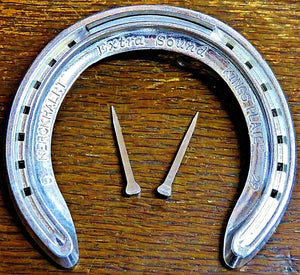 Wedding Horseshoe real Aluminium race shoe with 2 Horse Shoe nails fix to door | Craft, Games, - Farriers Equipment